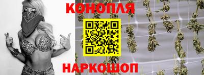 прущие грибы Камышлов