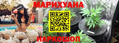 прущие грибы Камышлов
